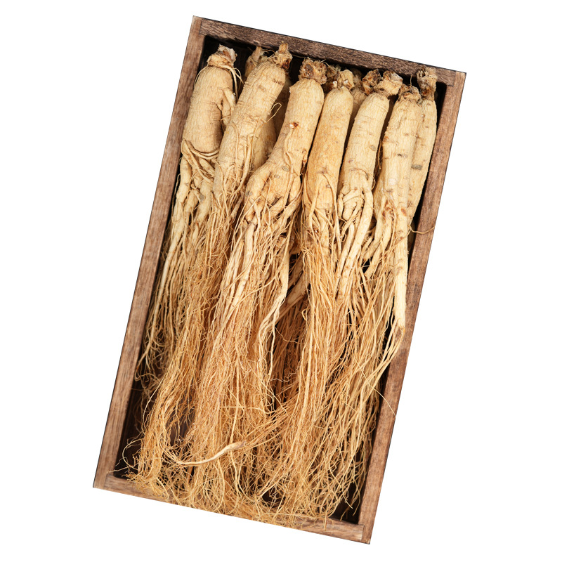 Changbai Mountain Sun-Dried Ginseng Ren Shen Whole Root Gift Box 75g 5 Roots - Image 5