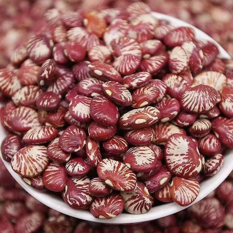 Zebra Beans Ban Ma Dou 500g Can Dried Kidney Beans for Soups and Congee - Image 4