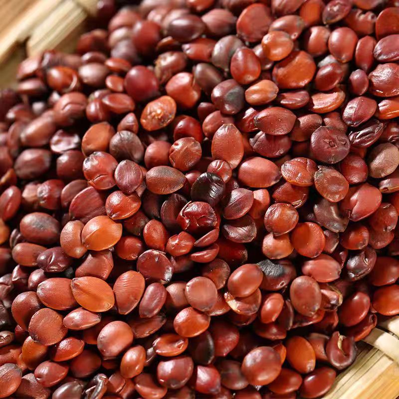 Suan Zao Ren (Ziziphus jujuba var. spinosa) — Dried Wild Jujube Seed for Tea & Soup - Image 2