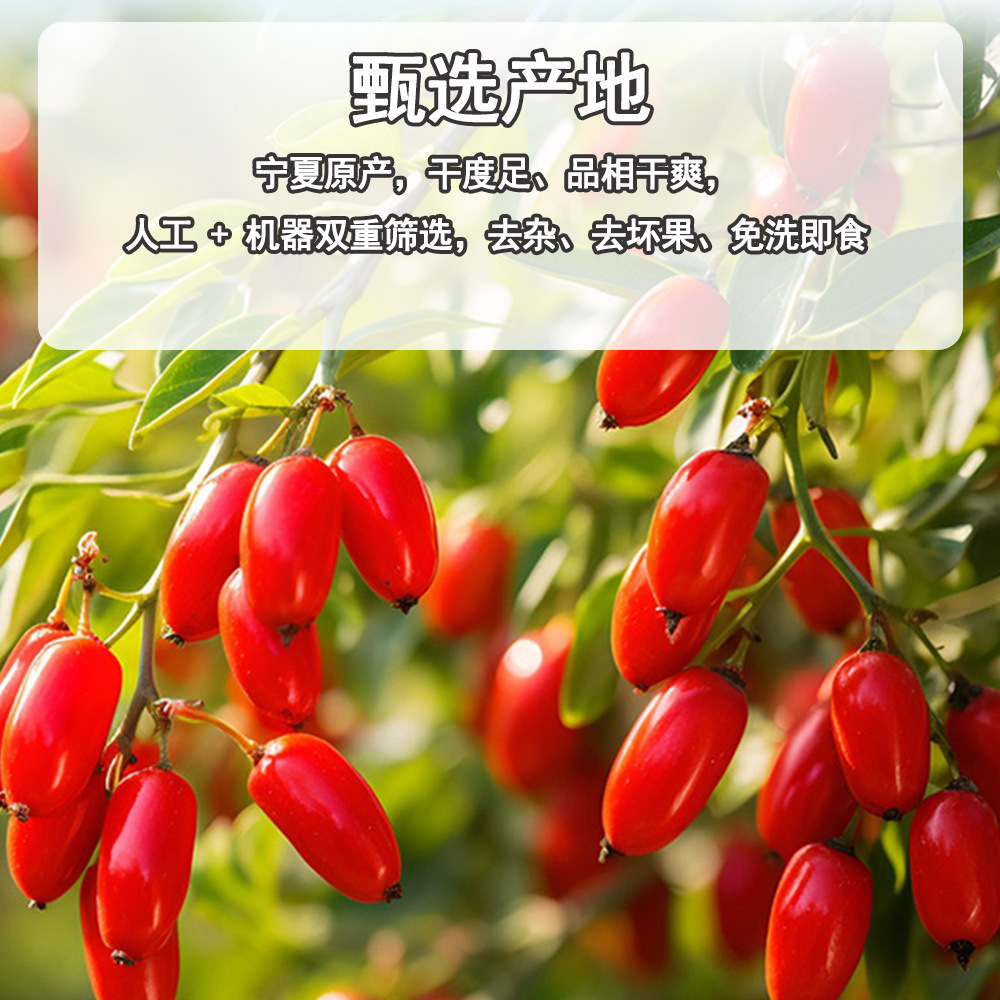 Dried Goji Berries Ningxia Large Grade A Gou Qi Zi for Tea Soup and Wine Soaking 1kg Bulk - Image 3
