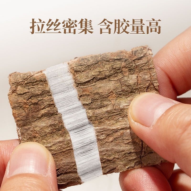 Dried Eucommia Bark Du Zhong 100g Bottle TCM Herbal Tea and Decoction Ingredient - Image 4