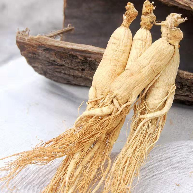Ginseng Root Ren Shen Whole Dried White Ginseng for Soup and Wine Infusion 500g - Image 4