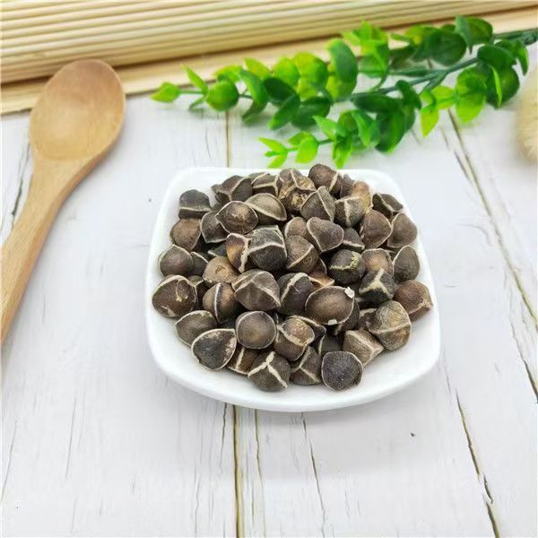 Moringa Seeds (Moringa oleifera) — La Mu Zi, Large-Grade Dried Food Herb, 500g - Image 3