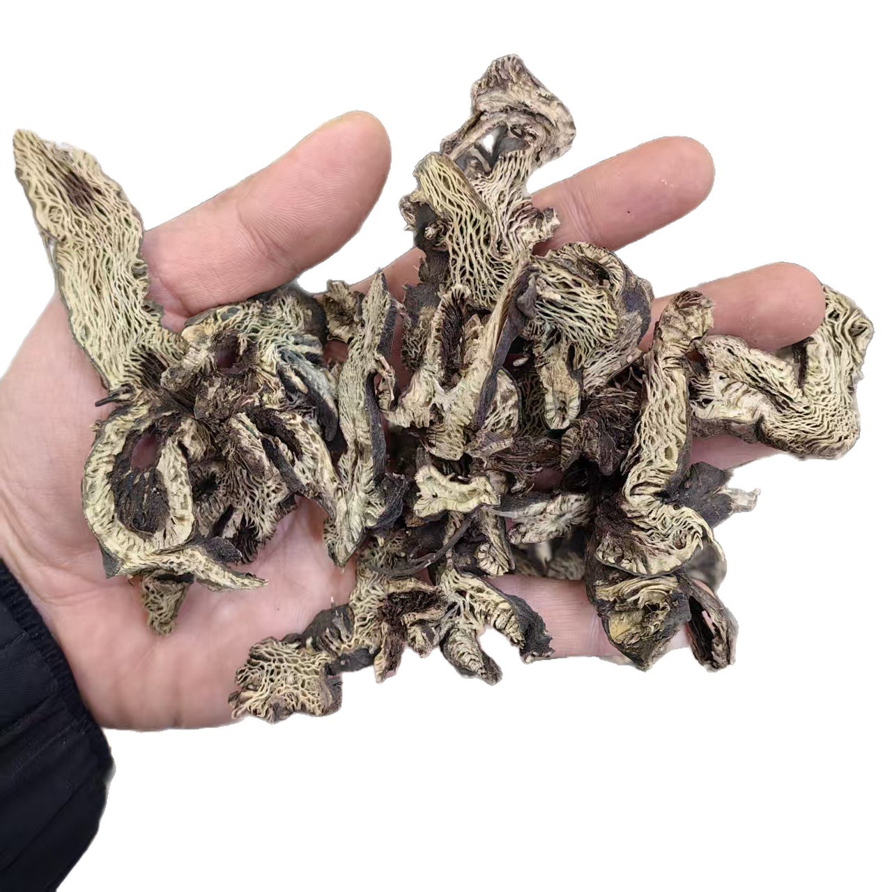 Northeast Cimicifuga Rhizome Slices Sheng Ma 500g Sulfur-Free Dried Herb for Decoction and Powder - Image 5