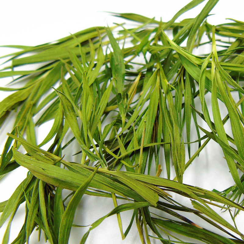 Bamboo Leaf Tea (Lophatherum gracile / Phyllostachys) — Dried Herbal Leaf Tea, 500g - Image 3