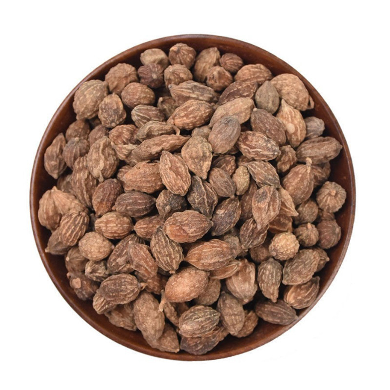 Yi Zhi Ren Dried Alpinia Oxyphylla Fruit 500g Traditional Herbal Tea and Decoction Ingredient - Image 3