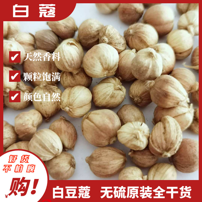 White Cardamom Bai Dou Kou 50g Dried Amomum Kravanh Fruit for Hot Pot Braising and Seasoning - Image 2