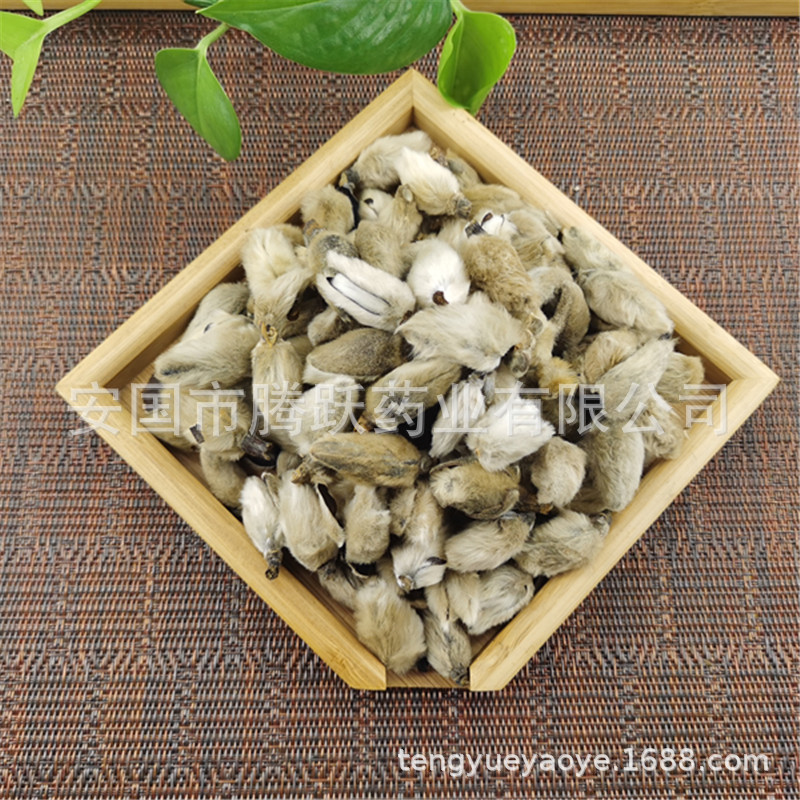 Xin Yi Hua Magnolia Flower Buds Dried Traditional Chinese Herb for Decoction and Tea 1 lb Bag - Image 3