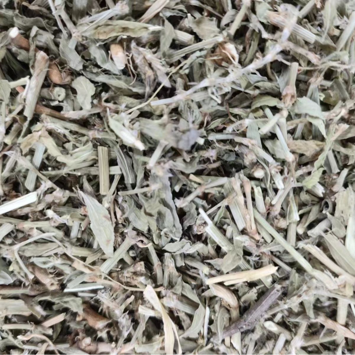 Bian Xu (Polygonum aviculare) — Dried Aerial Herb, Food-Herb for Tea & Decoction - Image 4