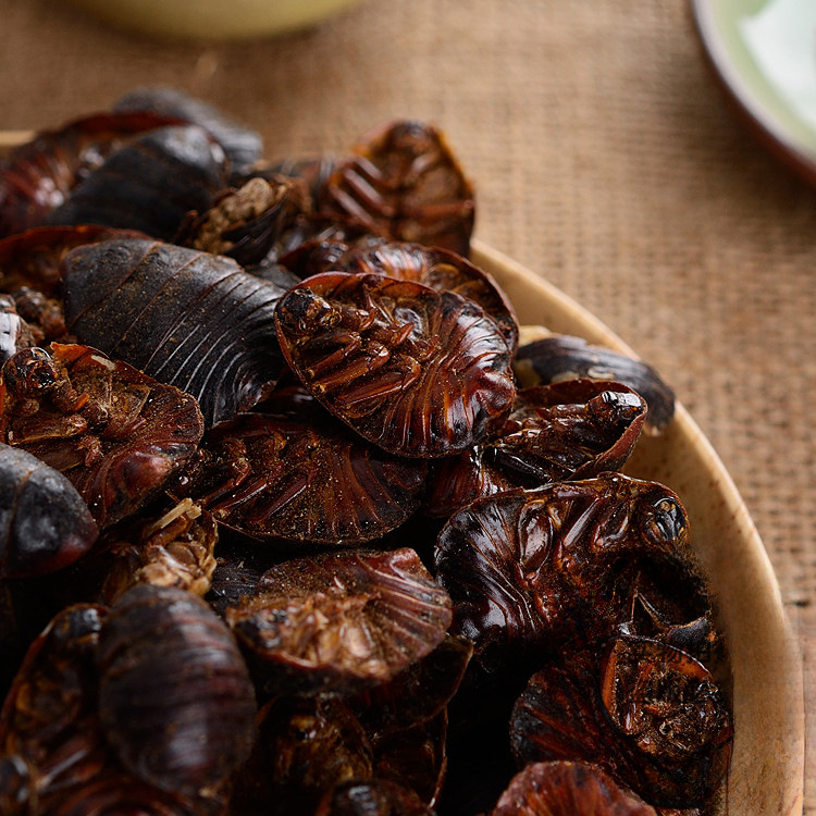 Dried Ground Beetle Tu Bie Chong 500g Loose Traditional Chinese Herb - Image 2