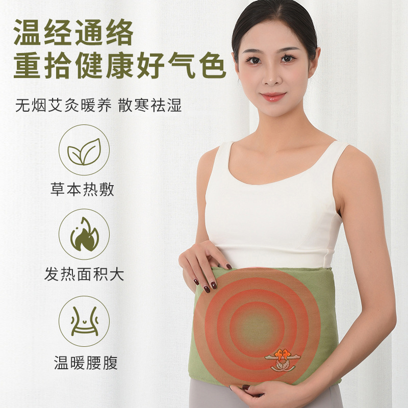 Electric Moxibustion Heat Belt Ai Jiu Bao Warm Waist and Abdomen Therapy Pad with Wild Mugwort Wool Herbal Pack for Home Use - Image 4