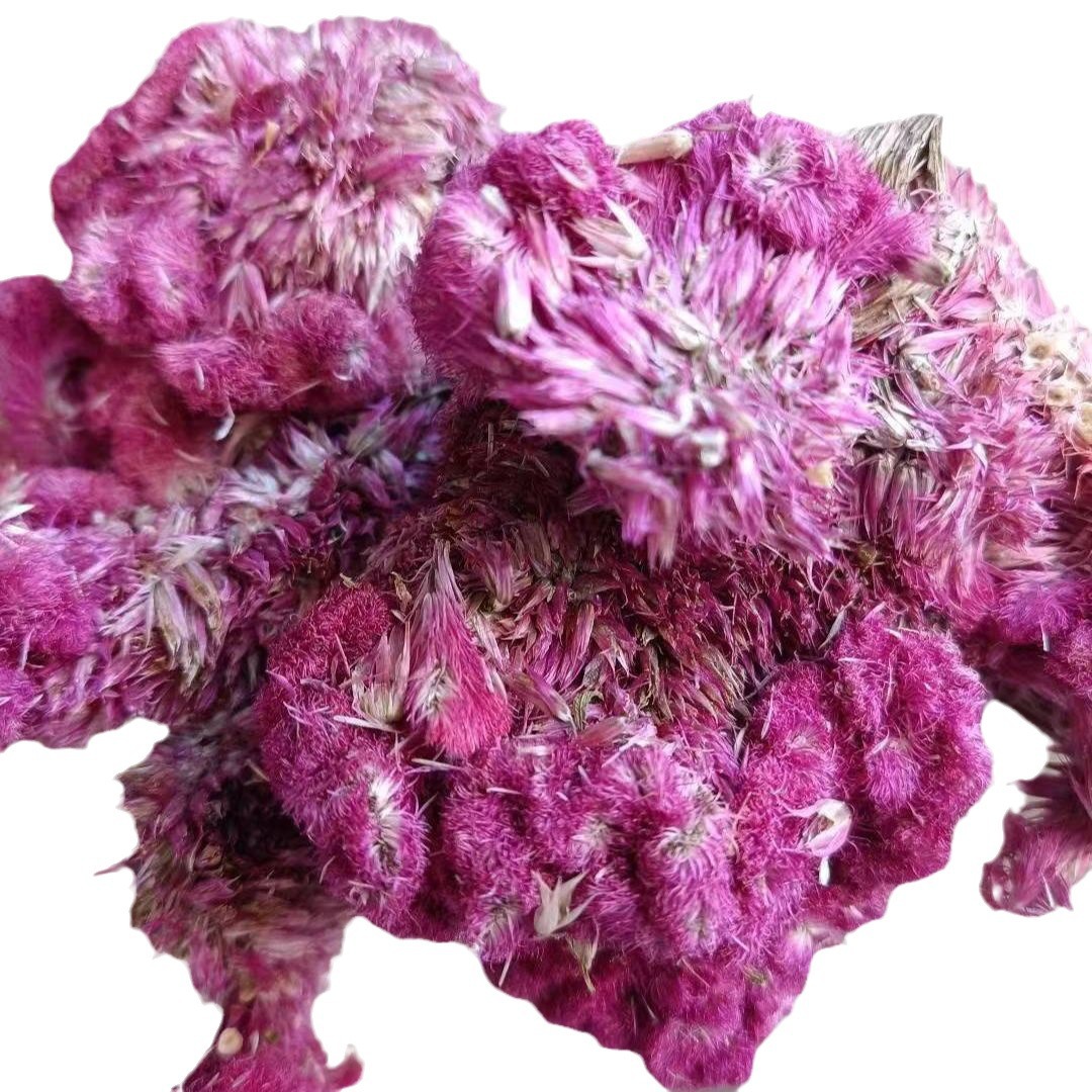 Ji Guan Hua (Celosia argentea) — Dried White & Red Cockscomb Flower, 500g - Image 5