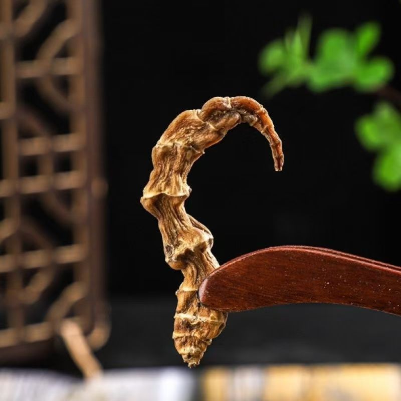 Dried Di Shen Earth Ginseng Root 500g Yunnan Herbal Soup and Wine Ingredient - Image 3