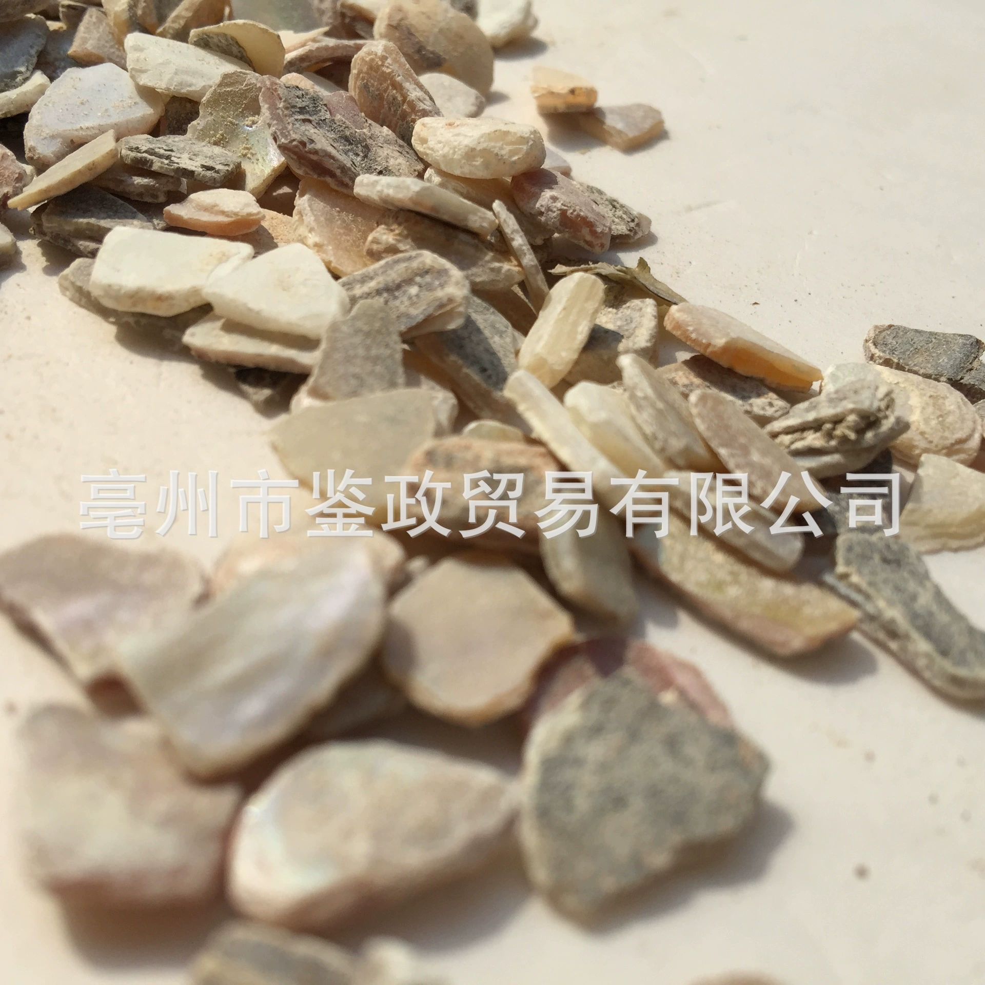 Zhen Zhu Mu Mother of Pearl Powder Raw Herb 500g Dried Concha Margaritifera for Traditional Decoctions - Image 4