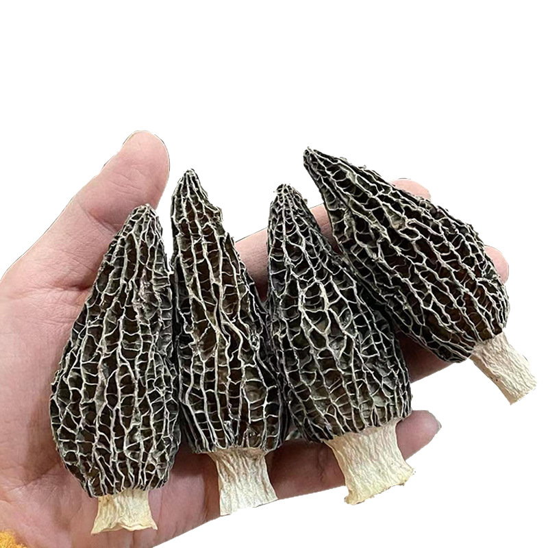Morel Mushroom (Morchella spp.) — Dried Yunnan Wild-Harvested Whole Mushrooms for Soup & Tea - Image 5