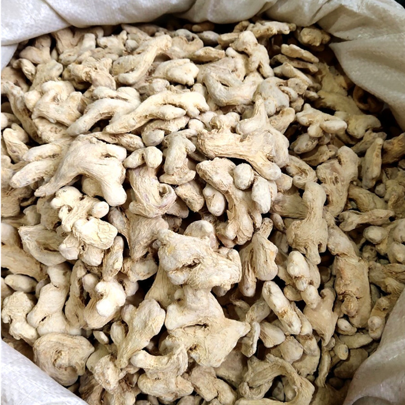 Dried Ginger (Zingiber officinale) — Dried Ginger Slices & Whole Rhizome, Food Herb for Tea, Soup & Foot Soak - Image 3