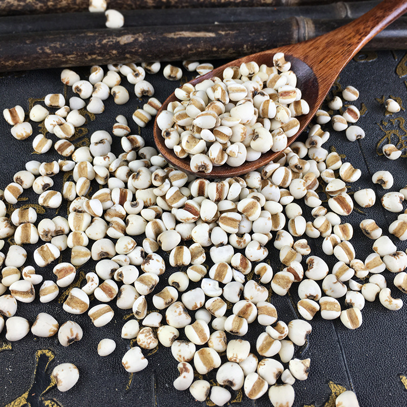 Coix Seed Yi Yi Ren 500g Dried Job's Tears Grains for Soup Congee and Herbal Tea - Image 4