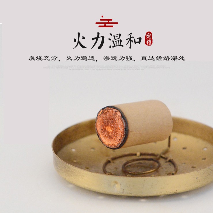 Premium Moxa Cones Ai Zhu 艾柱 for Moxibustion Warm Therapy 54 Cones per Box - Image 3