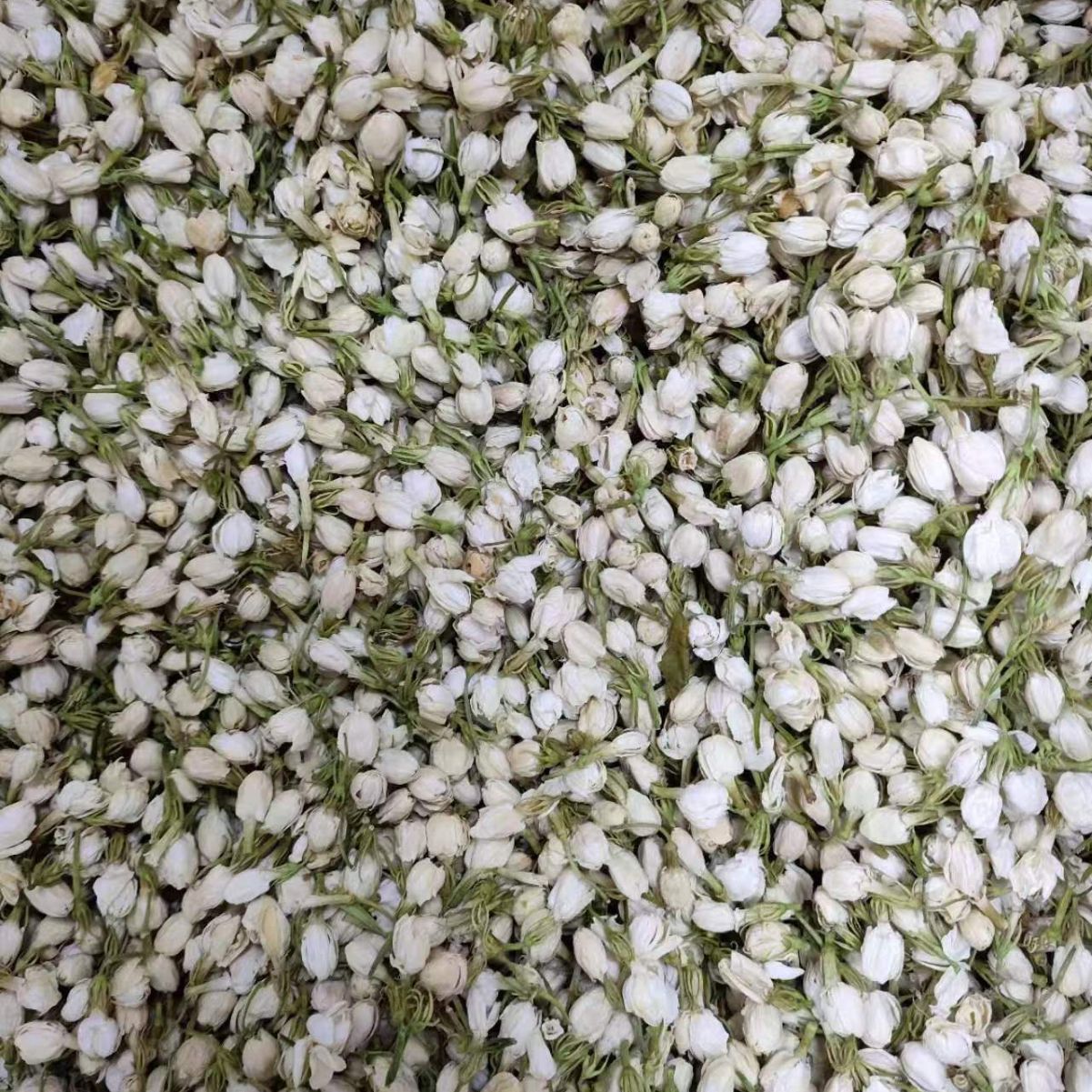 Jasmine Flower (Jasminum sambac) — Dried Food-Herb Blossoms for Tea & Powder - Image 3