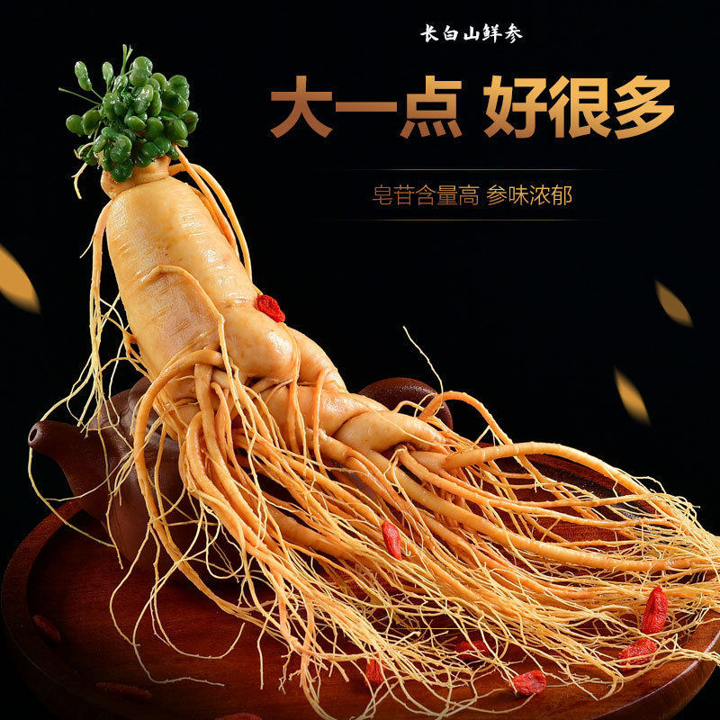 Fresh Ginseng Root Extra Large Single Piece Changbai Mountain Ren Shen for Wine Infusion and Cooking - Image 3