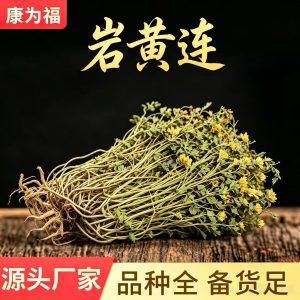 Yan Huang Lian Root (Corydalis saxicola) — Dried Bitter Food Herb for Cooking & Decoction