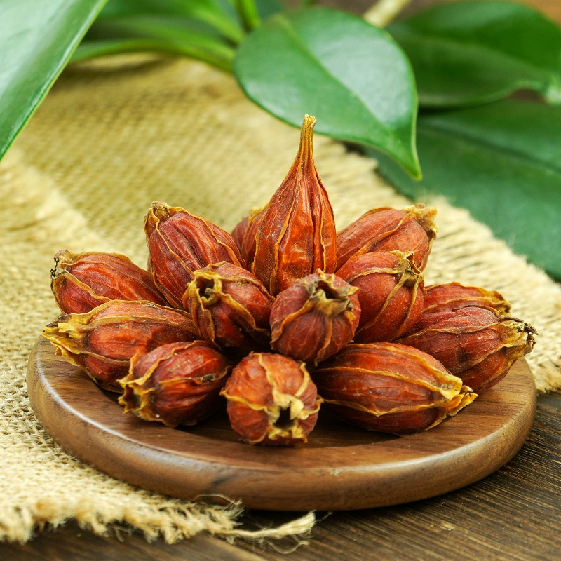 Dried Gardenia Fruit Zhi Zi 500g Whole Gardenia jasminoidis Fruit for Tea Wine and Foot Soak - Image 4