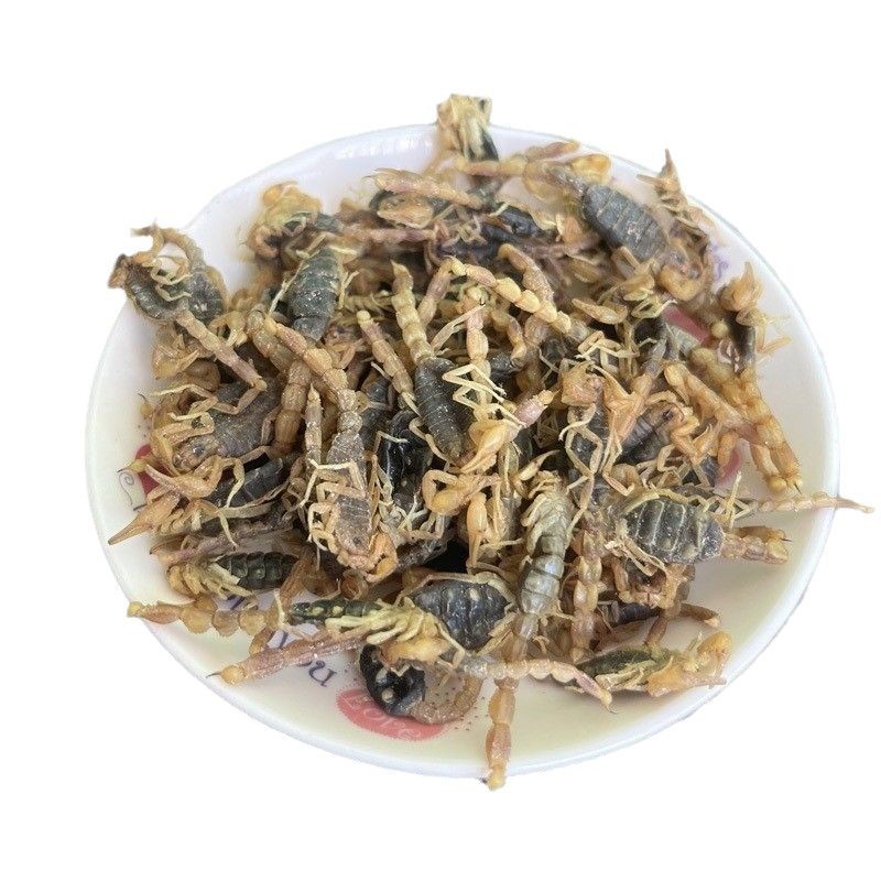 Whole Scorpion Quan Xie Dried TCM Herb 500g Natural Sun-Dried Shandong Origin - Image 5