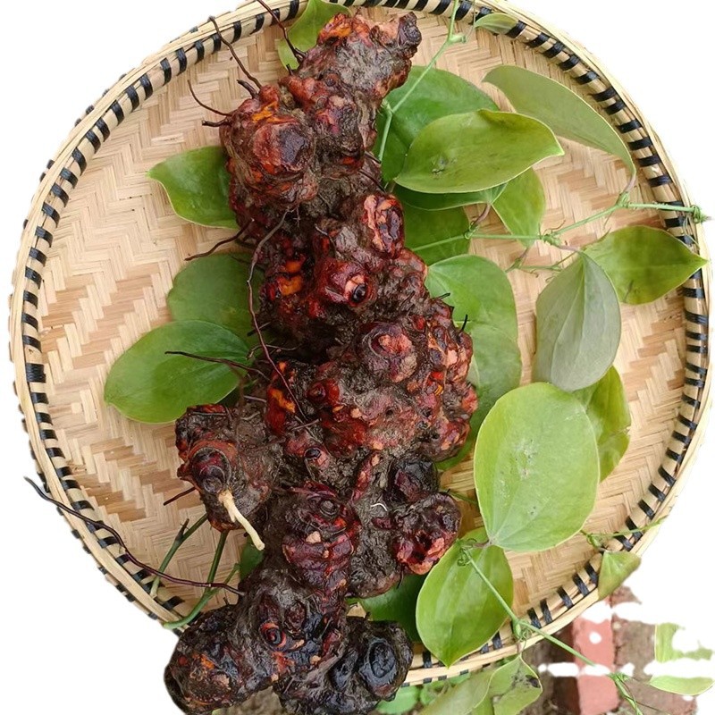 Wild Jin Gang Teng Smilax Root 金刚藤 Dried Herbal Root for Wine Infusion and Tea 2500g - Image 5
