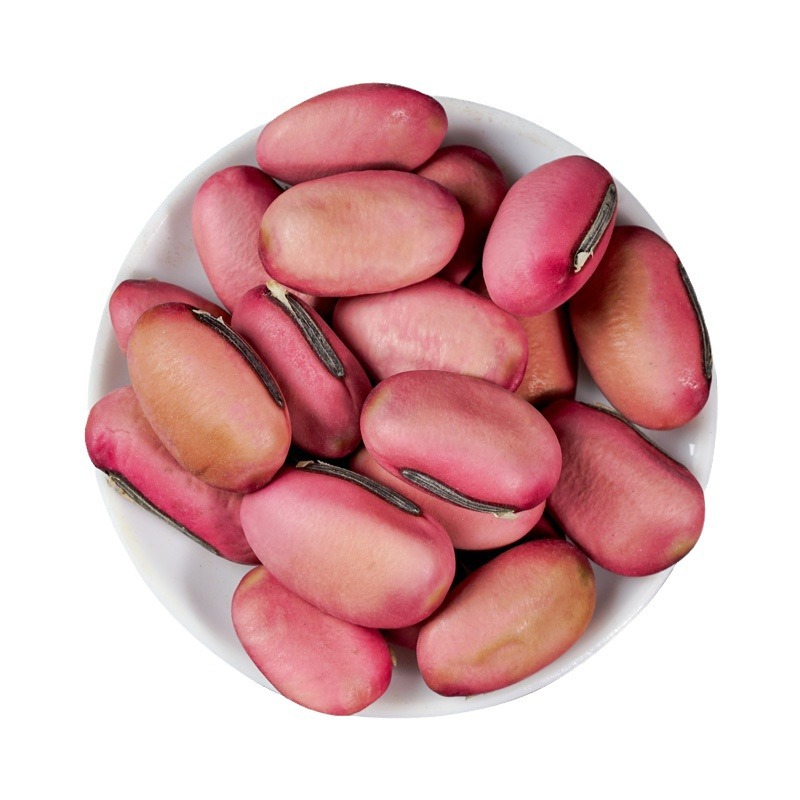 Red Sword Bean (Canavalia gladiata) — Dried Food Herb, Whole Beans & Custom Powder - Image 5