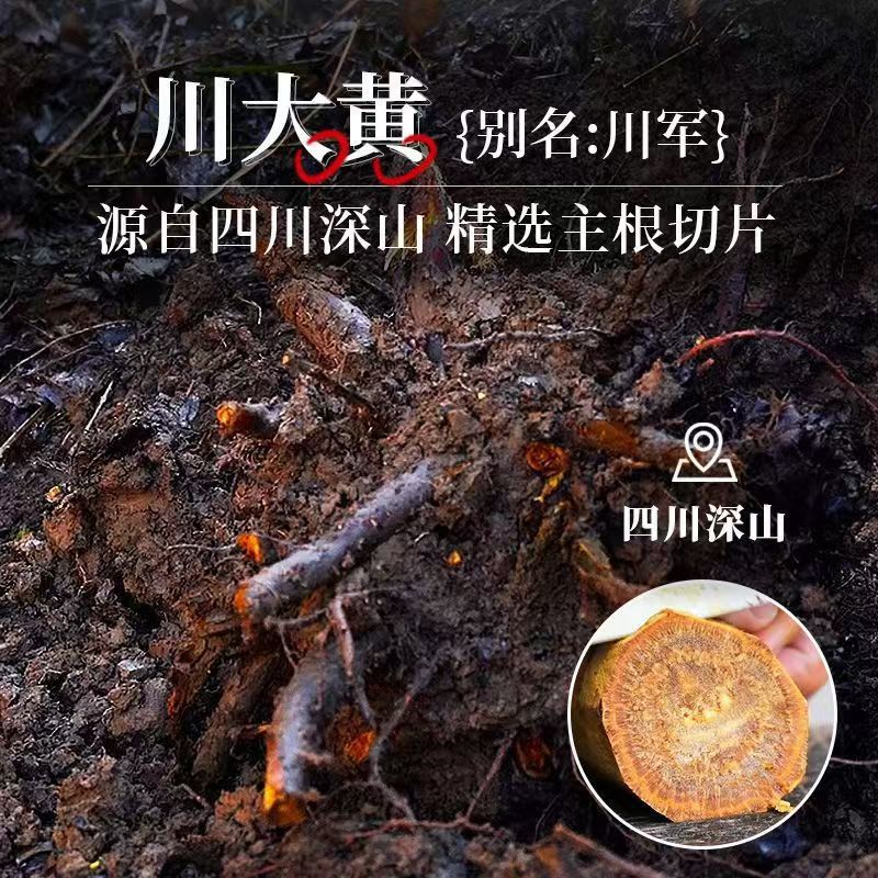 Sichuan Rhubarb Slices Da Huang 500g Dried Chinese Herbal Decoction Pieces - Image 2