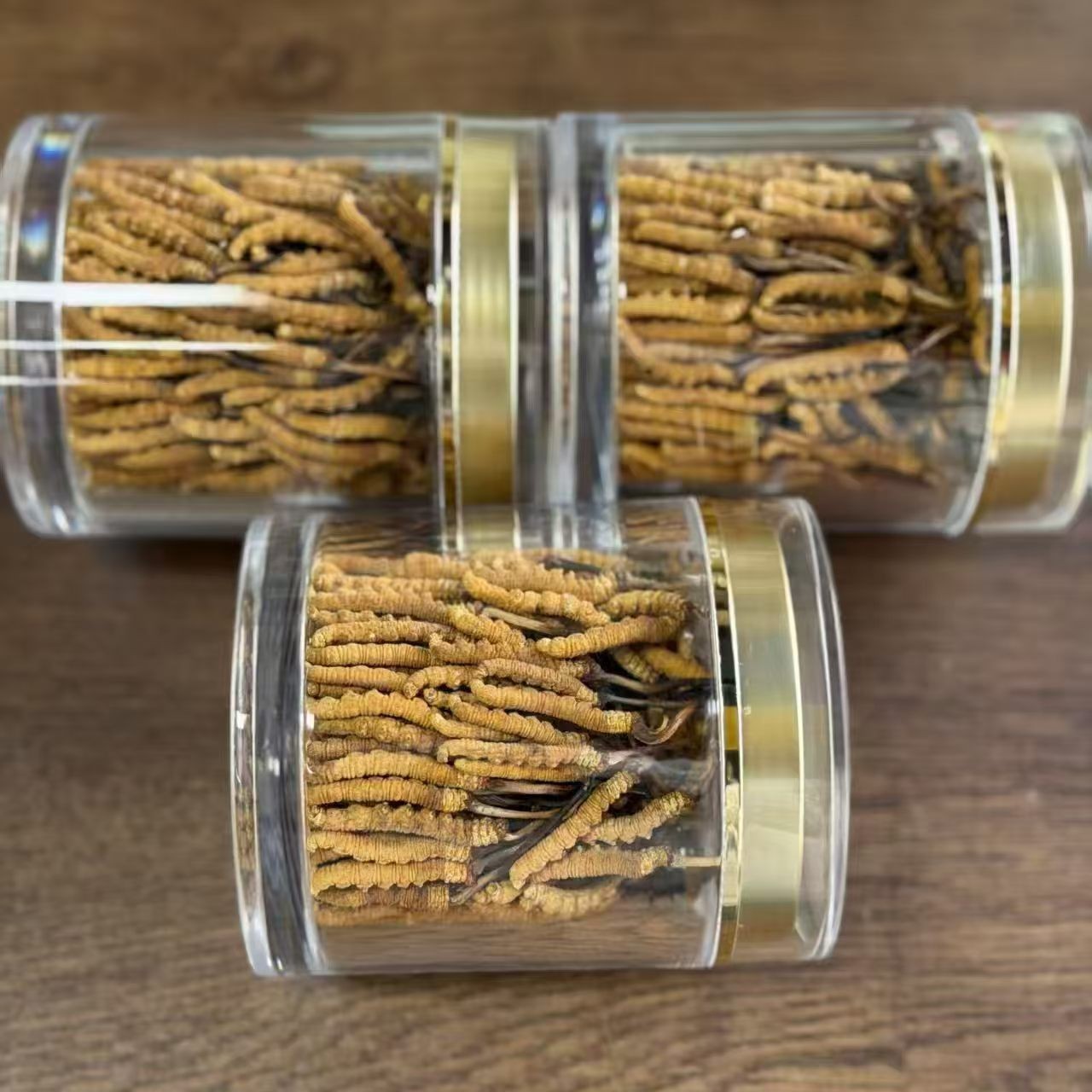Freeze-Dried Cultivated Cordyceps Dong Chong Xia Cao 1g Pack 3-4 Pieces Culinary Herbal Tonic - Image 2