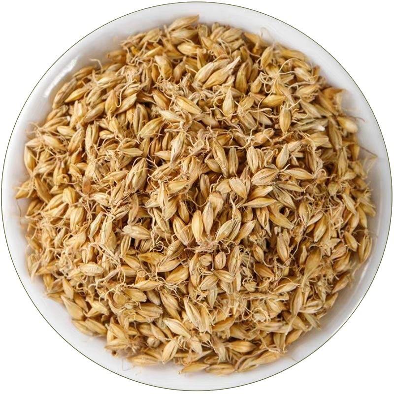 Malt (Hordeum vulgare) — Dried Food-Herb Barley Sprout, 500g - Image 5