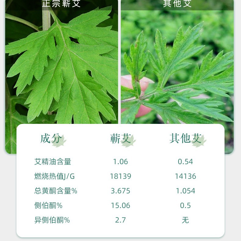 Qichun Aged Mugwort Moxa Rolls 3 Year Chen Ai Tiao for Home Moxibustion and Herbal Aromatherapy - Image 4