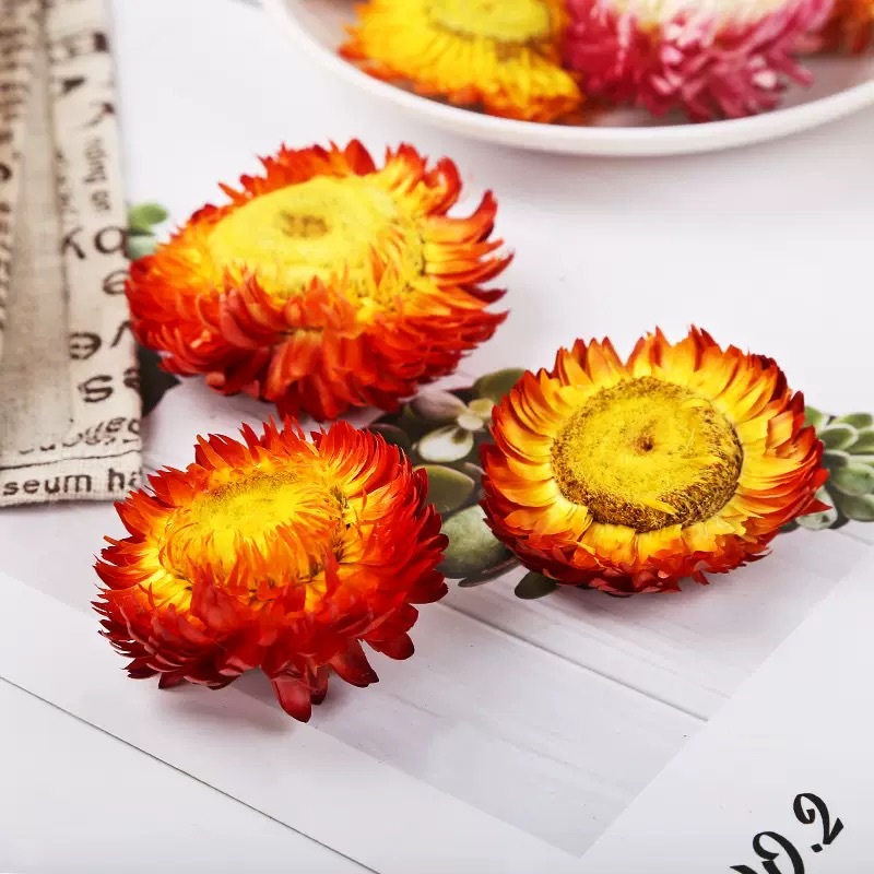 Seven Color Chrysanthemum Dried Flowers Qi Cai Ju Herbal Tea 500g Yunnan Wholesale - Image 3