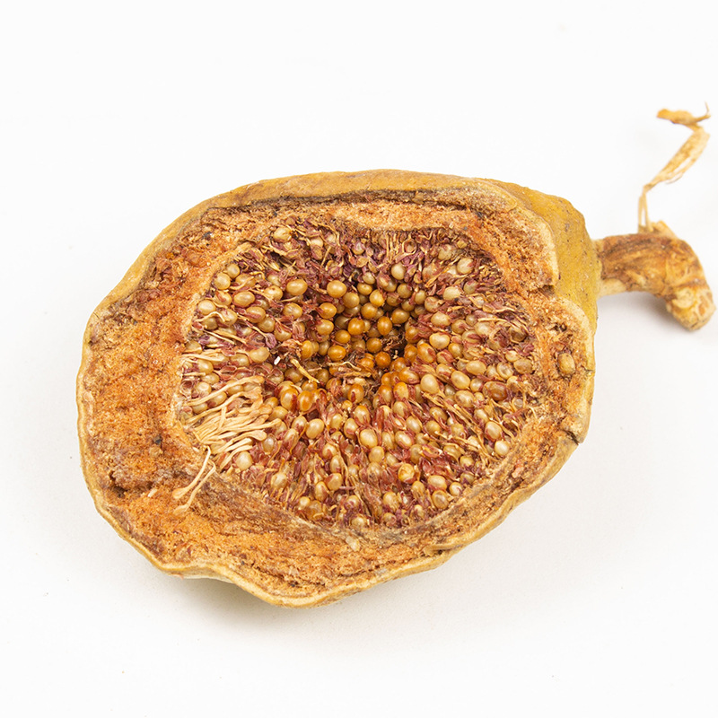 Dried Mu Lian Guo Fruit 木莲果 Whole Form Traditional Herbal Ingredient 500g - Image 4