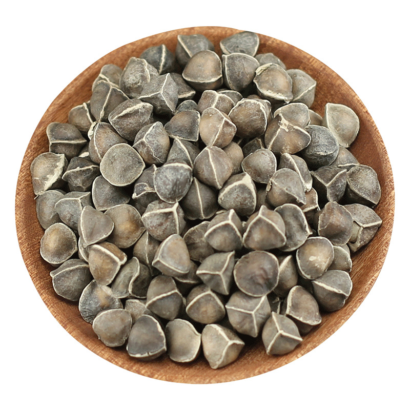 Moringa Seeds La Mu Zi Large Grade Natural Sun Dried 500g Bulk Herbal Seeds - Image 5