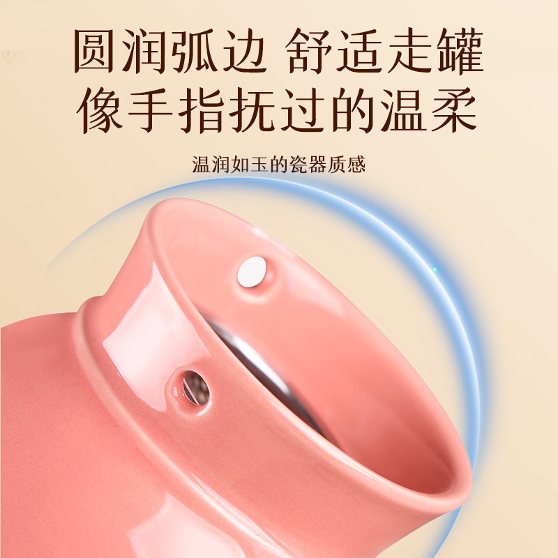 Moxa Facial Warming Tool Mei Ren Jiu Beauty Moxibustion Device with 10ml Oil for Spa Gua Sha Care - Image 4