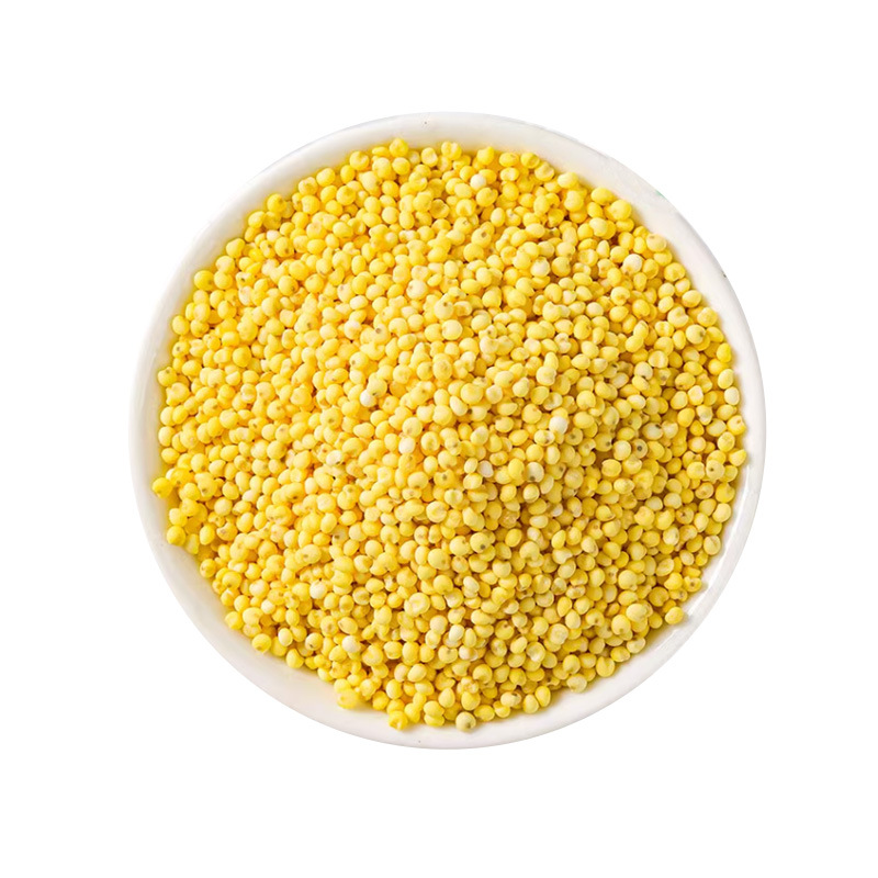 Shu Mi (Panicum miliaceum) — Broomcorn Millet Grain for Congee & Five-Grain Porridge - Image 5