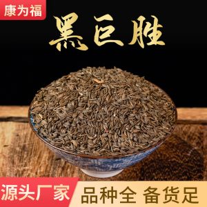 Hei Ju Sheng Seeds (Sesamum indicum) — Black Sesame Food-Herb Seeds, 500g