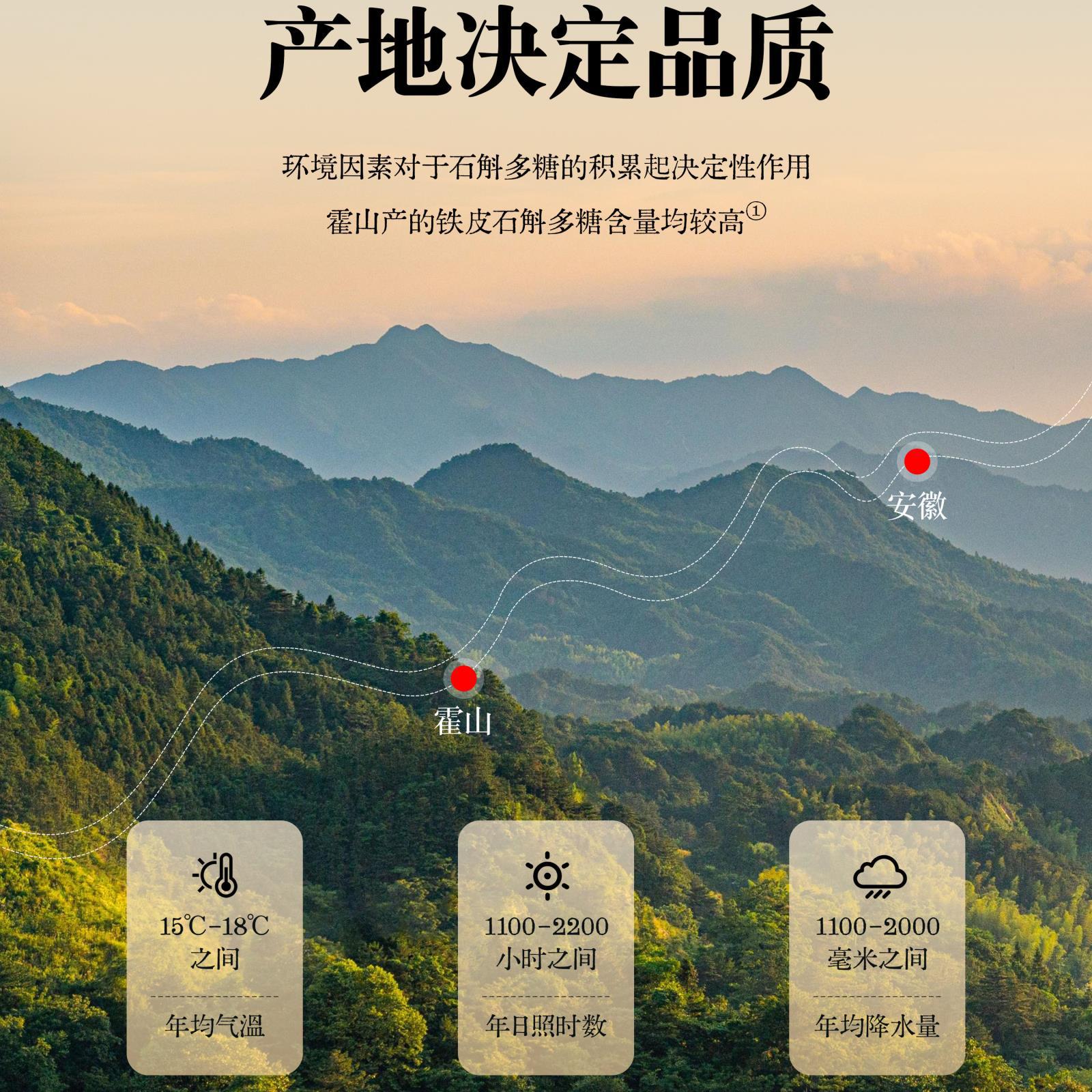 Tie Pi Shi Hu Dendrobium Fengdou Gift Box 180g Premium Herbal Wellness Gift for Elders - Image 3