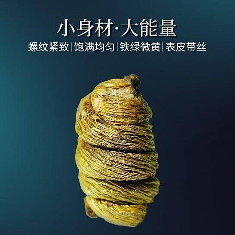 Huo Shan Tie Pi Shi Hu Dendrobium Fengdou Granules 8 Year Cliff Grown 50g - Image 3