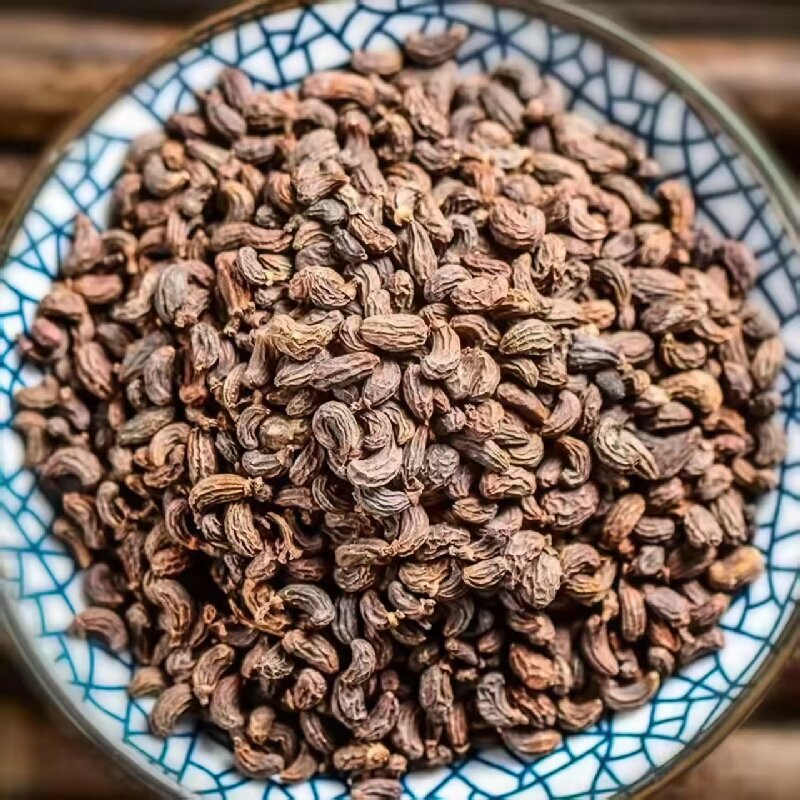 Nü Zhēn Zǐ (Ligustrum lucidum) — Dried Glossy Privet Fruit for Tea, Wine & Pillow - Image 2