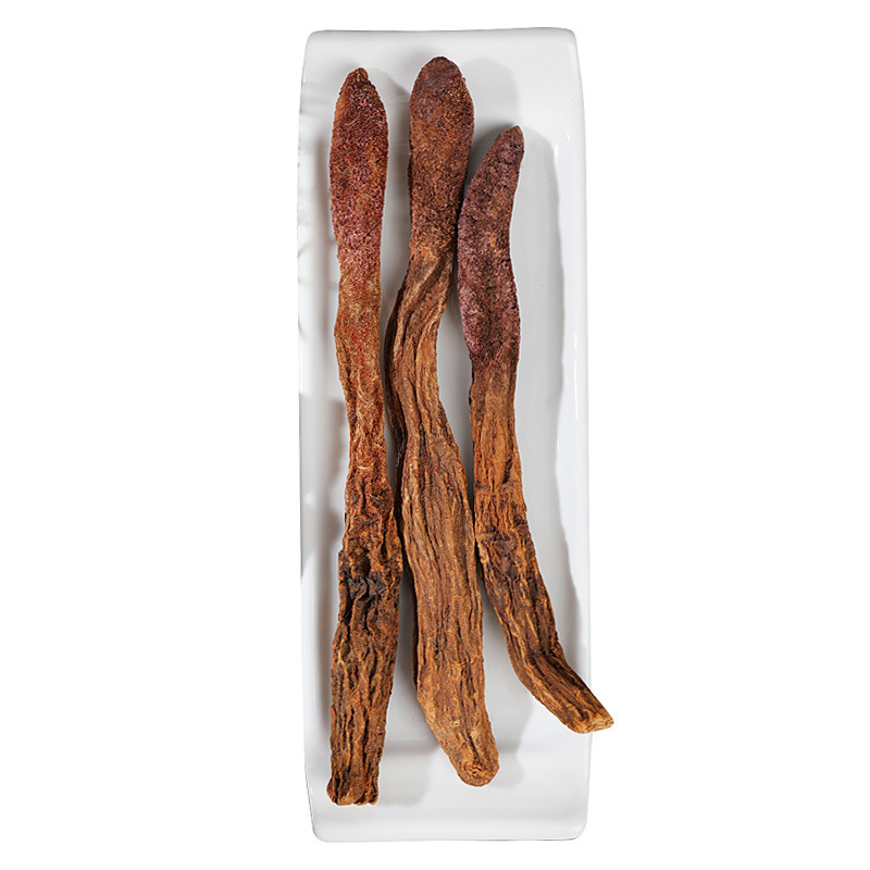 Cynomorium Songaricum Slices Suo Yang 500g Dried Herb for Tea Wine and Cooking - Image 5