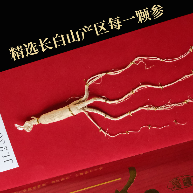 Changbai Mountain Aged Ginseng Gift Box 40cm Sun-Dried Whole Root 8-10g with Handbag - Image 4