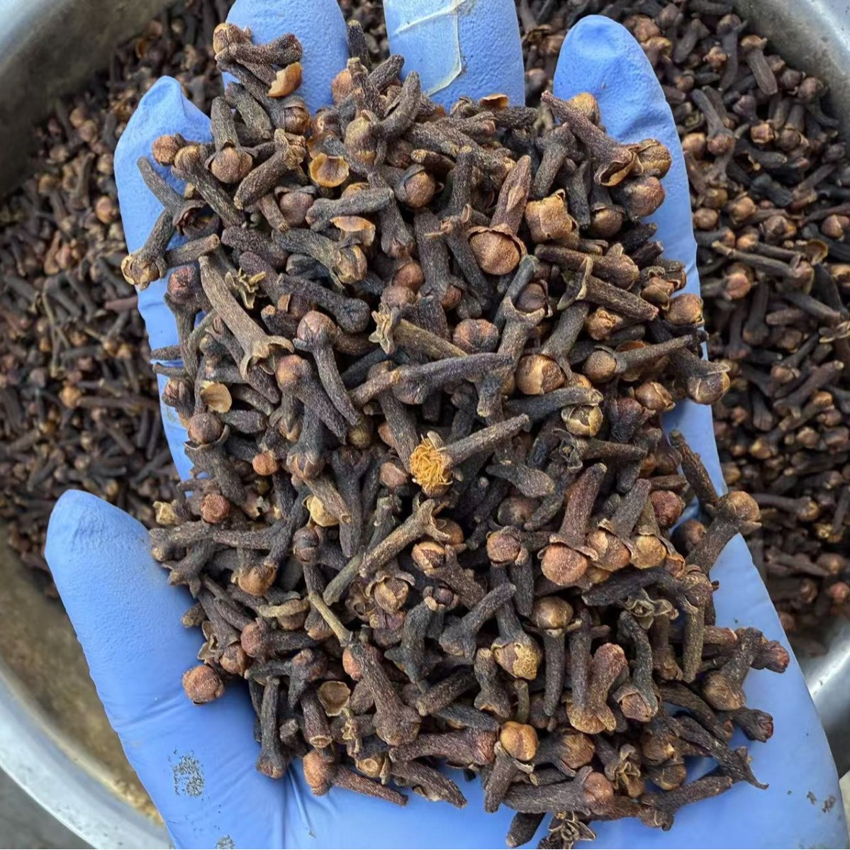 Dried Clove Spice Whole Buds for Cooking Braising and Hot Pot 500g - Image 5