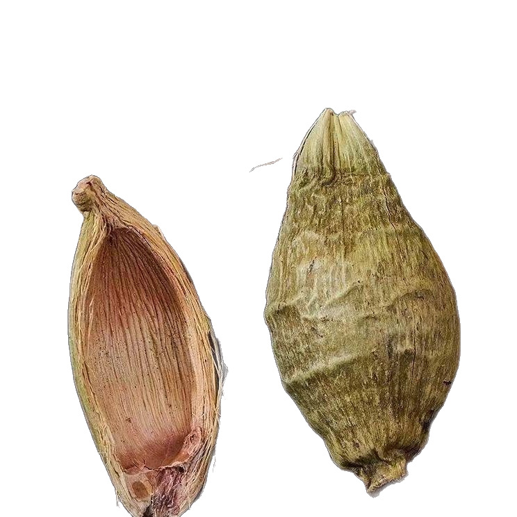 Da Fu Pi (Areca catechu Pericarp) — Dried Food Herb Peel for Tea & Soup, 500g - Image 5