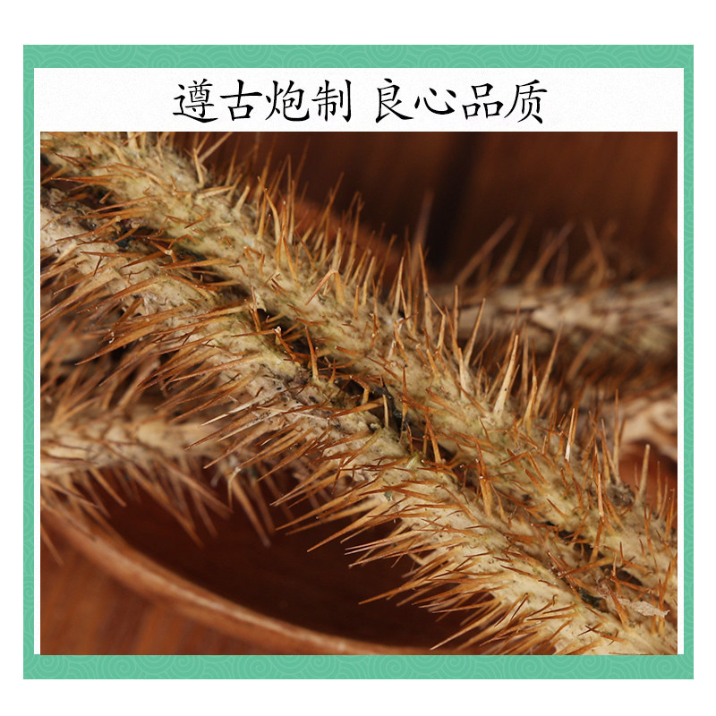 Wild Siberian Ginseng Bark Ci Wu Jia 刺五加 Dried Root Bark 200g Hand Peeled Core Removed - Image 2