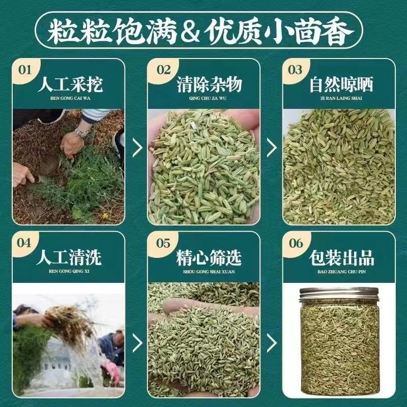Fennel Seeds (Foeniculum vulgare) — Gansu Dried Food-Herb Spice for Cooking & Tea - Image 4