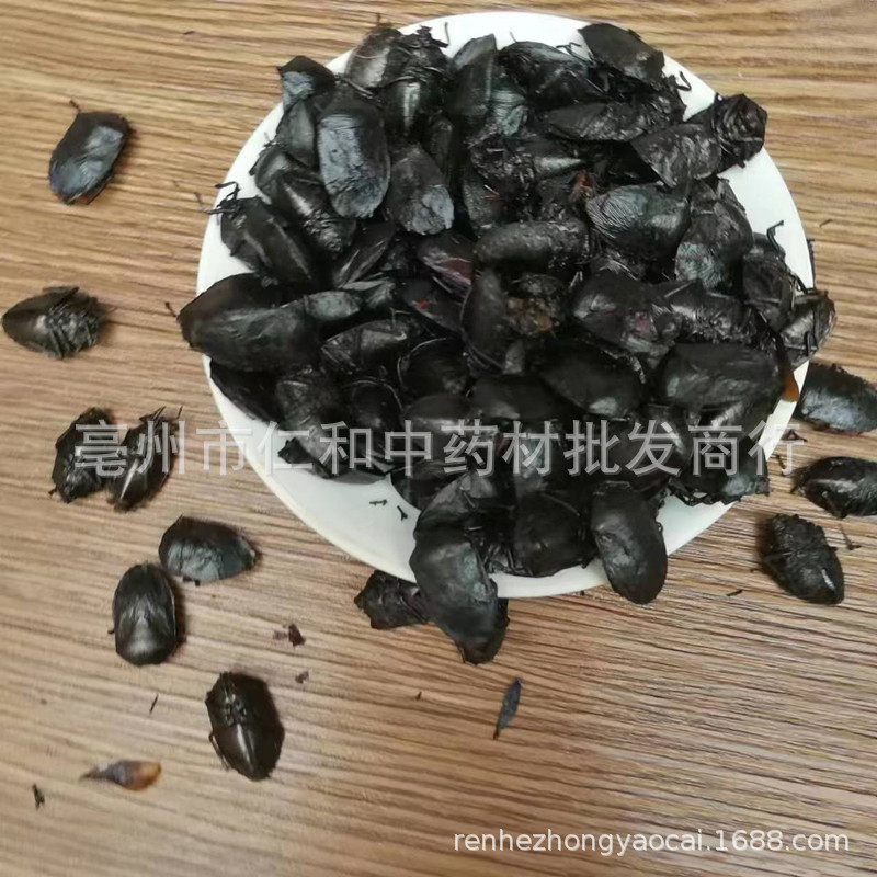 Jiu Xiang Chou Dried Bug Whole Insect Raw Herb Traditional TCM Ingredient Sealed Storage - Image 2