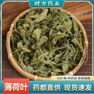 Dried Mint Leaves (Mentha spicata) — Spearmint Herbal Tea for Cold Brew & Summer Coolers